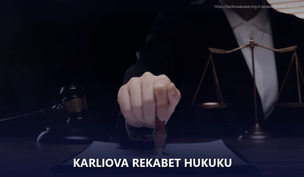 Karliova Rekabet Hukuku